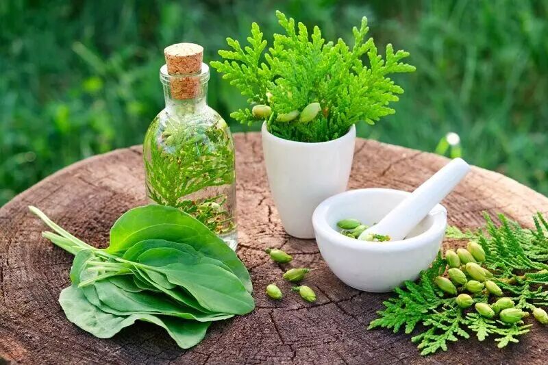 دستاوردهای طب سنتی ایران در نمایشگاه گردشگری تهران عرضه می‌شود