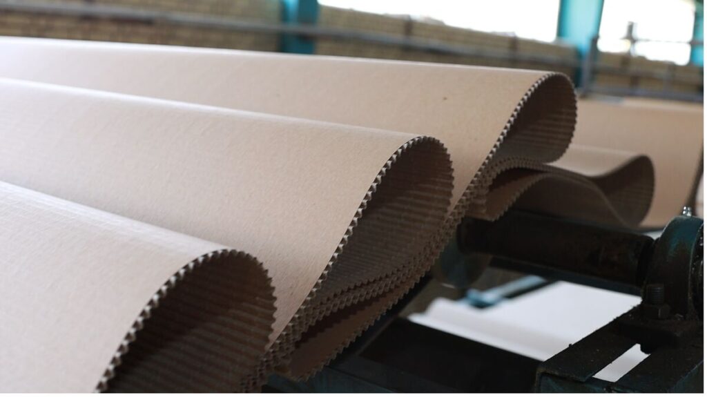 احیای کارخانه کارتن سازان عدل البرز قزوین با اعطای تسهیلات در دولت سیزدهم