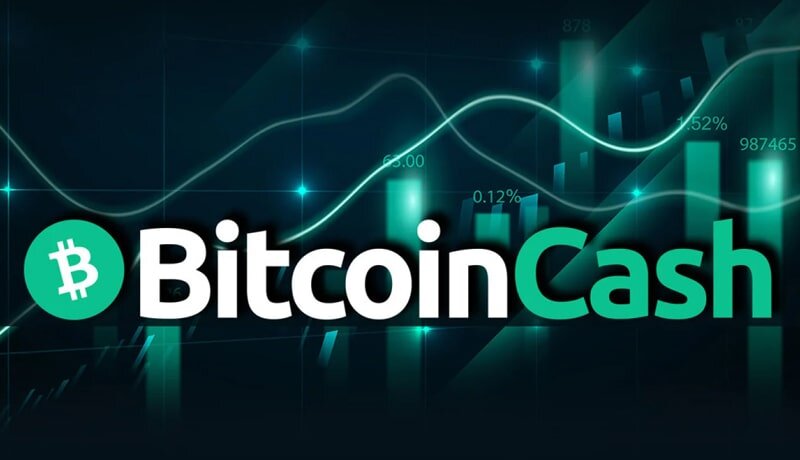 بازگشت نهنگ‌ها به بازار بیت‌کوین کش در آستانه هاوینگ! منتظر رشد قیمت BCH باشیم؟