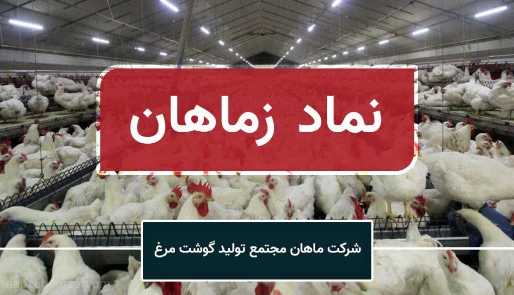 حال مرغ ماهان در وضعیت بحرانی است!